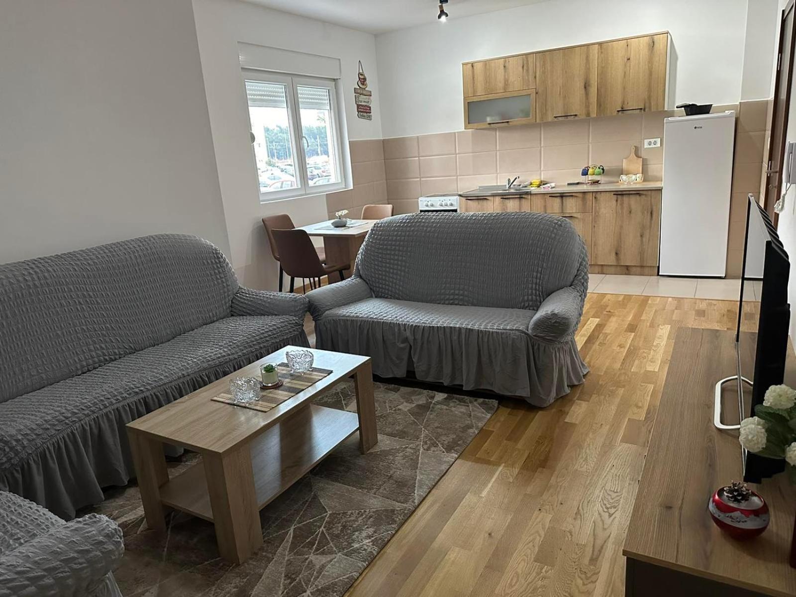 Roomy Lux Apartmant Apartment